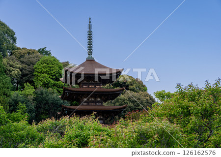 綠樹環繞的琉璃光寺五重塔 126162576