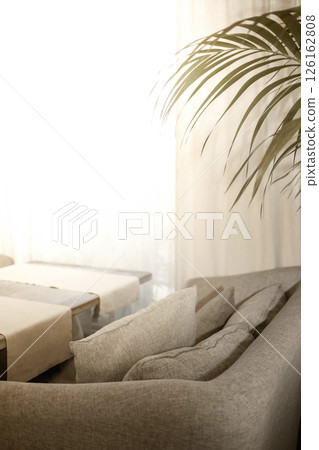 Cozy living room with soft gray sofa, natural light streaming through sheer curtains, and greenery Cozy living room with soft gray sofa, natural light streaming through sheer curtains, and greenery 126162808
