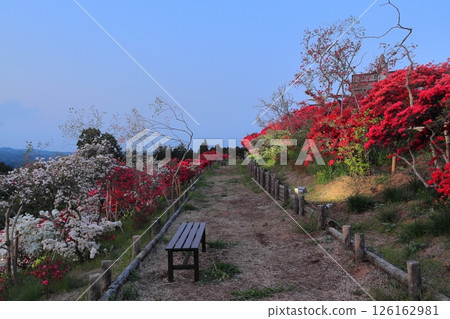 Evening view of Kasama Azalea Park in Ibaraki Prefecture 126162981