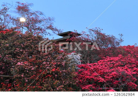 Evening view of Kasama Azalea Park in Ibaraki Prefecture 126162984