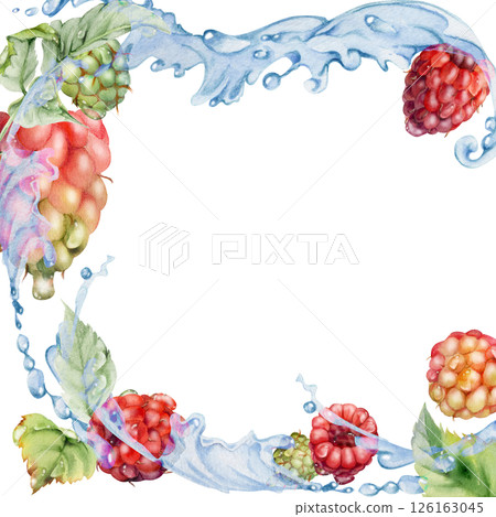 Raspberry berries leaves flying in dew drops, water splash, ripe garden dewberry cloudberry mulberry loganberry hand drawn in watercolor. Isolated border square corner frame. Farmers market stationery 126163045