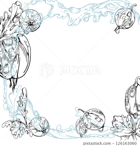 Gooseberry Currant berries flying in water splash with dew drops, green leaves, ripe garden juneberry casseille jostaberry hand drawn in vector ink. Isolated border square corner frame. Farmers market 126163060