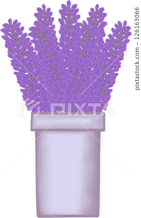 Beautiful idea and style of purple flowers in the purple ceramic vase for decorate in a home or flower shop. Beautiful idea and style of purple flowers in the purple ceramic vase for decorate in a home or flower shop. 126163066