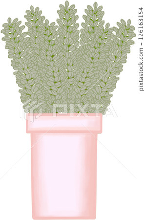 Beautiful idea and style of green flowers in the pink ceramic vase for decorate in a home or flower shop. Beautiful idea and style of green flowers in the pink ceramic vase for decorate in a home or flower shop. 126163154