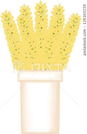 Beautiful idea and style of yellow flowers in the creamy ceramic vase for decorate in a home or flower shop. Beautiful idea and style of yellow flowers in the creamy ceramic vase for decorate in a home or flower shop. 126163159