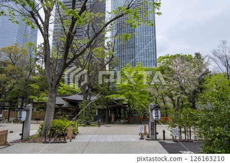 虎之門之丘摩天大樓及愛宕神社庭院(東京都港區) 虎之門之丘摩天大樓及愛宕神社庭院(東京都港區) 126163210