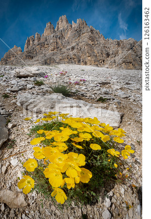 Giau Pass, Dolomites Italy Giau Pass, Dolomites Italy 126163462