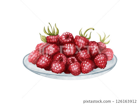 Raspberry Berries on Plate Watercolor Illustration 126163912