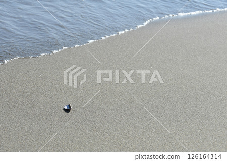 Iwase Beach, Toyama City, Toyama Prefecture 126164314