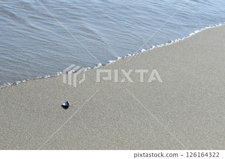 Iwase Beach, Toyama City, Toyama Prefecture 126164322