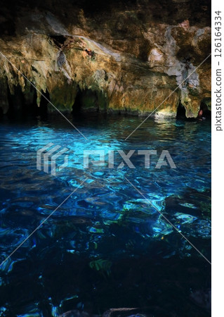 Gran Cenote, a hidden gem with exceptional transparency, located in Cancun, Mexico, Central America 126164334