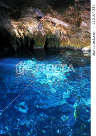 Gran Cenote 是位於中美洲墨西哥坎昆的一顆隱藏寶石，透明度極高 126164335