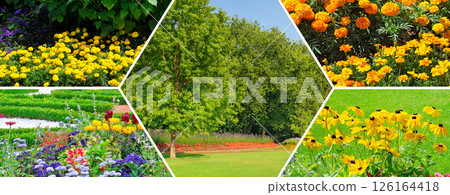 Flowerbeds in gardens and parks. Collage. Mosaic pattern. Flowerbeds in gardens and parks. Collage. Mosaic pattern. 126164418