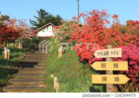 Kasama杜鵑花公園 126164473