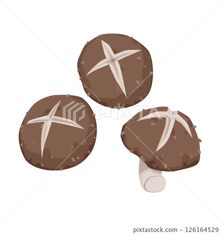 Illustration of decoratively cut shiitake mushrooms 126164529