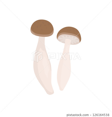 Bunshimeji mushroom illustration 126164538