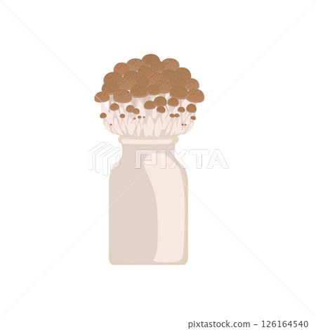 Bunshimeji 蘑菇圖 126164540