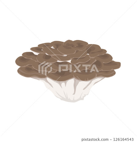 舞茸的插圖 126164543