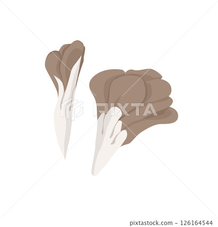 舞茸切塊插圖 126164544