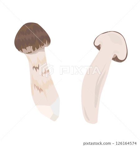 松茸切法圖解 松茸切法圖解 126164574