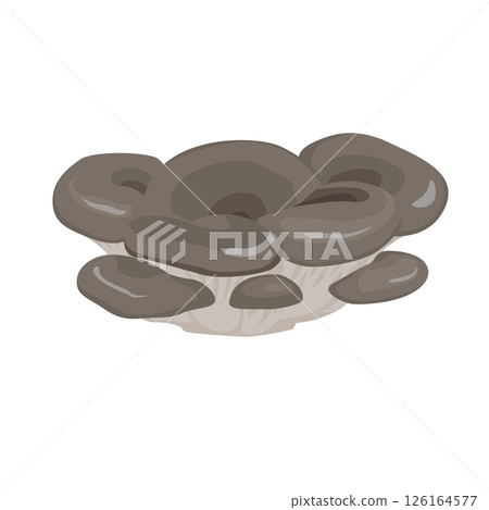 Hiratake illustration 126164577