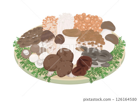 什錦蘑菇的插圖 126164580