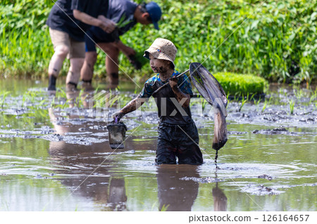 Parent and child rice planting experience - Toddler Parent and child rice planting experience - Toddler 126164657