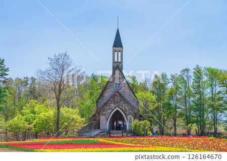 Hirugano Plateau, pastoral village, tulips in full bloom (Gujo City, Gifu Prefecture) 126164670