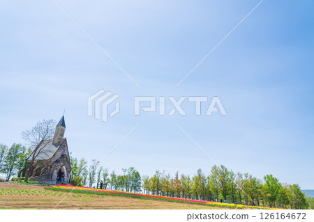 Hirugano Plateau, pastoral village, tulips in full bloom (Gujo City, Gifu Prefecture) 126164672