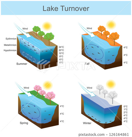 Lake Turnover. Temperature water in lake when changing according to the seasons. Lake Turnover. Temperature water in lake when changing according to the seasons. 126164861