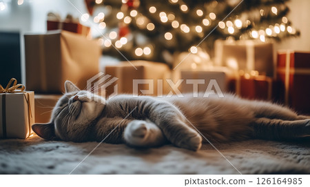 A British cat relaxes near a decorated Christmas tree with presents around A British cat relaxes near a decorated Christmas tree with presents around 126164985