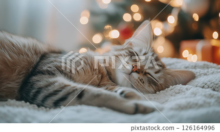 A cozy cat sleeping peacefully beside a beautifully decorated Christmas tree 126164996