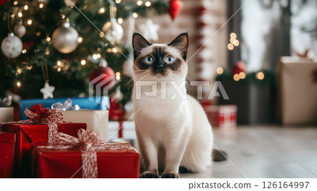 A playful cat admiring the Christmas tree adorned with colorful decorations and presents 126164997