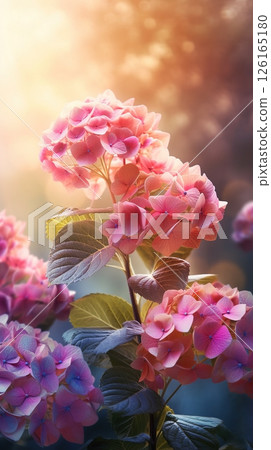 Blooming hydrangea flowers with drops of water close-up background. Floral wallpaper. Ai generated 126165180
