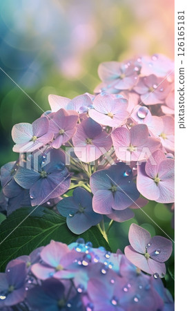 Blooming hydrangea flowers with drops of water close-up background. Ai generated 126165181