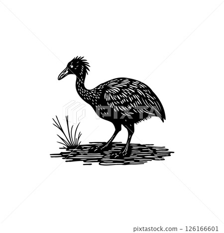 Monochrome rendering of a solitary cassowary standing amidst sparse vegetation Monochrome rendering of a solitary cassowary standing amidst sparse vegetation 126166601