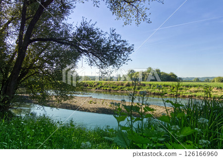 River landscape showing green vegetation, trees, and blue sky with contrails River landscape showing green vegetation, trees, and blue sky with contrails 126166960
