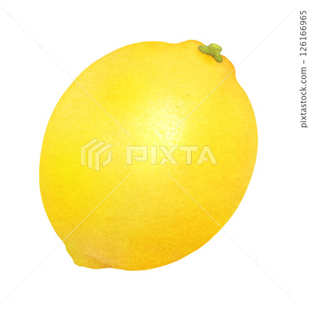 Fresh lemon hand-drawn illustration_Watercolor_Citrus Fresh lemon hand-drawn illustration_Watercolor_Citrus 126166965