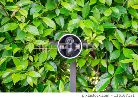 Security IP CCTV camera install on the fence for home security system Security IP CCTV camera install on the fence for home security system 126167151