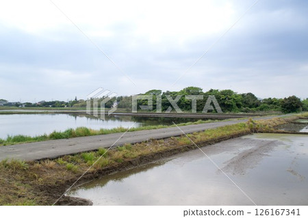 小徑鄉間小路 126167341