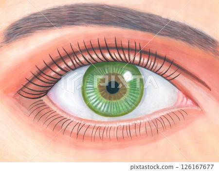 人眼插圖 人眼插圖 126167677