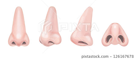 從四個方向看到的鼻子插圖集 從四個方向看到的鼻子插圖集 126167678