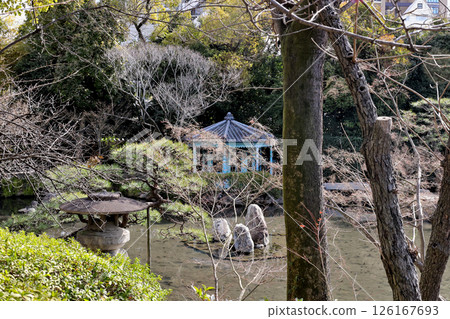 四天王寺、本坊庭園、淨土花園、梅花和小池塘 126167693