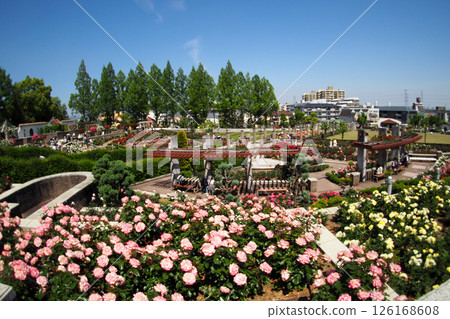 Itami City Aramaki Rose Park Itami City Aramaki Rose Park 126168608
