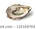 Raw oyster on white background 126168764