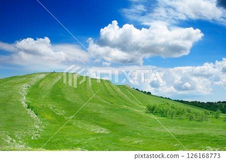 beautiful landscape in Crimea 126168773