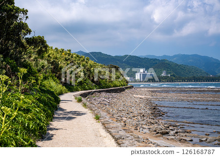 [#Miyazaki] Aoshima beach 126168787