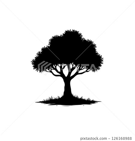 Monochrome arboreal silhouette against a stark white backdrop revealing nature's simplicity 126168988