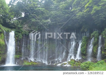Shiraito Falls (Shizuoka Prefecture Fujinomiya City Uenoide) 126169512