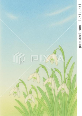 Postcard Snowdrop 126170231